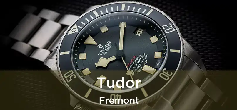  Tudor Fremont