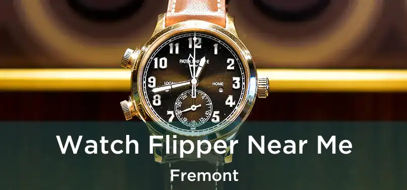  Watch Flipper Near Me Fremont